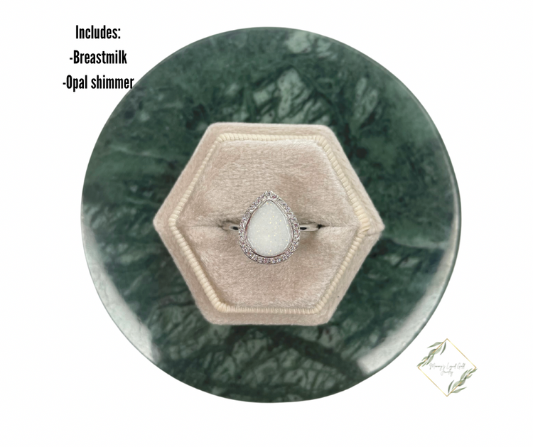 Teardrop Dream Bundle