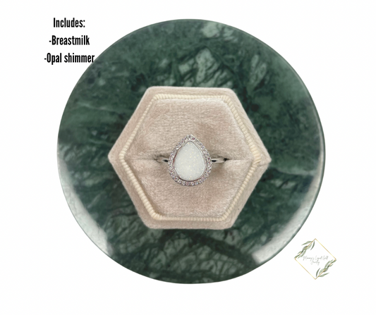 Teardrop Dream Bundle